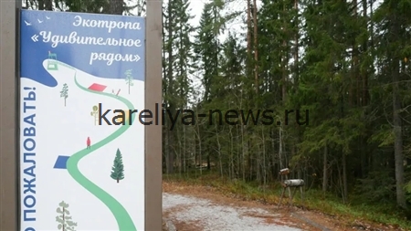 Веломаршруты и экотропы Карелии 2026: лучшие маршруты от легких прогулок до многодневных экспедиций