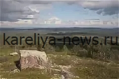 Национальный парк Паанаярви: дикая природа Карелии на границе с Финляндией