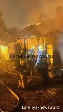Трагедия в Карелии: на пожаре погибла дачница — расследование продолжается