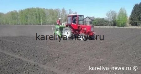 Инновационные технологии в Омском АНЦ: как собирают прошлогодний урожай одновременно с посевной