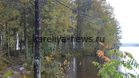 Костомукша 2026: промышленный гигант Карелии с заповедной природой у порога