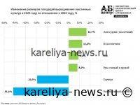 Рекордный урожай масличных в 2026 году: прогнозы, вызовы и перспективы для агросектора