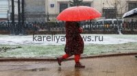 Неожиданная погода в Карелии 22 апреля 2026 года: мокрый снег и дождь испортят планы жителей
