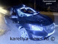 Трагедия на трассе: в Карелии лось врезался в лобовое стекло автомобиля — водитель чудом уцелел