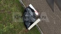 В Москве задержан подозреваемый в жестоком убийстве женщины: раскрыты шокирующие подробности преступления