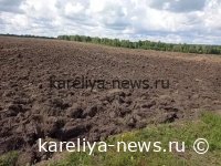 Цифровой прорыв в Томской области: новый сервис ускорит перевод земель в сельхозоборот