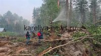 В Карелии ликвидировано крупное лесное возгорание на площади 15 гектаров: подробности операции
