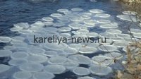 Загадочные ледяные блины в Карелии: природное явление, покорившее водоемы в 2026 году
