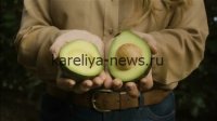 Авокадо в 2026 году: почему этот суперфуд остается в тренде и как выбрать идеальный плод