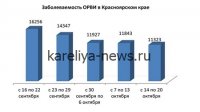 В Карелии сезонные вирусы охватили более 35 тысяч человек: статистика и рекомендации на 2026 год