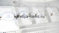 Карельские производители покоряют маркетплейсы: более 700 уникальных товаров уже на полках онлайн-гипермаркетов