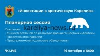 Инвестиции в леса Карелии: Президент России поддержал стратегический проект развития региона