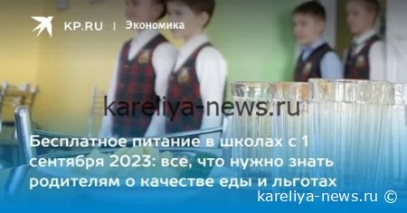 В России утвердили новые стандарты школьного питания: что изменится для учеников с 2027 года
