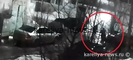 **Ножевое ранение во дворе Петрозаводска: подробности инцидента и реакция властей**