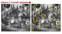«Золотая рыбка»: найдите три ключевых отличия между картинками за 30 секунд — тест на внимательность 2026
