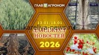 Агроновости недели: главные события в сельском хозяйстве с 18 по 24 мая 2026 года