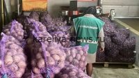 Чувашия наращивает экспорт картофеля: первые 115 тонн отправлены в Казахстан и Узбекистан