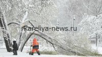 Апрель 2026 в Петрозаводске: неожиданное тепло и рекорды погоды