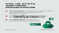 Петрозаводская пара столкнулась с мошенниками: угрозы обысками и психологическое давление