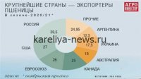 Российский экспорт зерна в 2026 году: рекордные объемы и новые вызовы на фоне геополитики