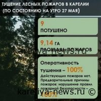 В Карелии объявлен сбор пожарных по тревоге: оперативные действия спасателей утром 2026 года