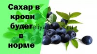 Ягода-суперфуд 2026: как снизить сахар и холестерин без лекарств и похудеть естественно