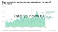 Норвежский экспорт лосося и форели в апреле 2026 года: причины и последствия снижения объемов