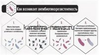 Ученые бьют тревогу: эксперты прогнозируют новую волну антибиотикорезистентности к 2028 году