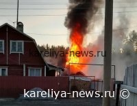 Масштабный пожар в дачном посёлке Карелии: жертв нет, но ущерб колоссальный