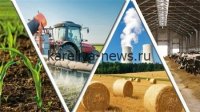 Минсельхоз: Поздний сев в 2026 году может повысить урожайность — как аграрии используют климатические преимущества
