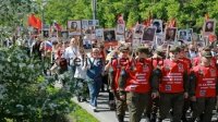 Всероссийский патриотический марафон: школьники 2026 года готовятся к Дню Победы с новым контентом