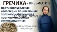 Гречка в 2026 году: научное открытие, которое меняет подход к лечению рака и иммунитета