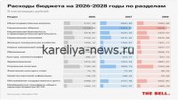 Бюджет РФ в 2026 году получит дополнительные *200 млрд рублей*: откуда деньги и на что пойдут