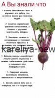 Прорыв в медицине: ученые из России обнаружили уникальные лечебные свойства популярного фрукта