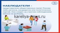 В России утвердили новые правила для общественных наблюдателей на выборах: что изменилось к 2026 году