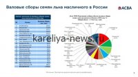 Рекордный рост переработки масличного льна в России: прогноз на 2026 год и перспективы отрасли