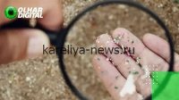 Вдыхаемые микрочастицы: новая угроза здоровью в эпоху технологий 2026 года