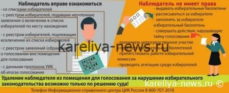 В России утвердили новые правила для общественных наблюдателей на выборах: что изменится к 2026 году