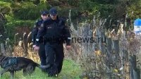 Бракеры на карельской границе: как пограничники остановили незаконный промысел в 2026 году