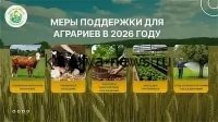 Донским аграриям прогнозируют снижение тарифов на водопользование: что изменится в 2026 году