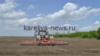 Саратовские аграрии в 2026 году сделали ставку на отечественные семена в яровом севе