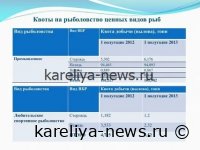 Североатлантические квоты на рыболовство сокращены: последствия для рынка и бизнеса в 2026 году