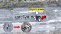 Шокирующий инцидент на концерте в Карелии: российский рокер сбил дрон голыми руками