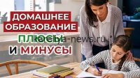 В Приамурье родители чаще выбирают домашнее образование: тренд набирает обороты