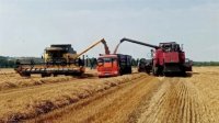 Уборочная кампания-2026 в России: старт сезона и ключевые вызовы аграриев