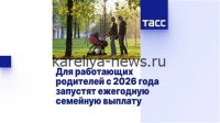 В России стартует программа поощрения семей с детьми: новые выплаты и льготы с 2026 года