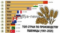 Мировые цены на пшеницу в 2026 году: почему падение продолжается и что ждет рынок