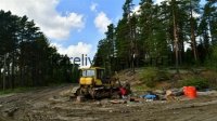 В Карелии на месте заброшенной свинофермы выросла *многолетняя свалка* на тысячи тонн: кто виноват и что делать?