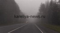 Погода в Карелии: тёплый день с дождём — чего ждать жителям региона в 2026 году