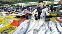 Китайский рынок рыбы и морепродуктов в 2026 году: почему цены бьют рекорды волатильности